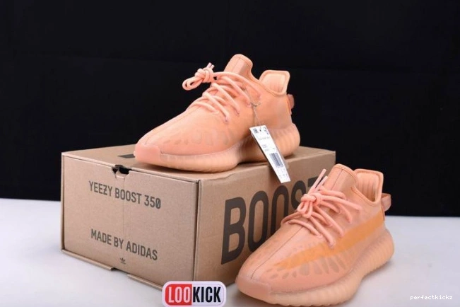 Yeezy Boost GW2870 
